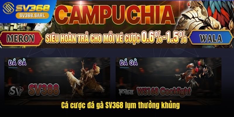 Cá cược đá gà SV368 lụm thưởng khủng