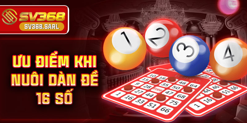 Ưu điểm khi nuôi dàn đề 16 số